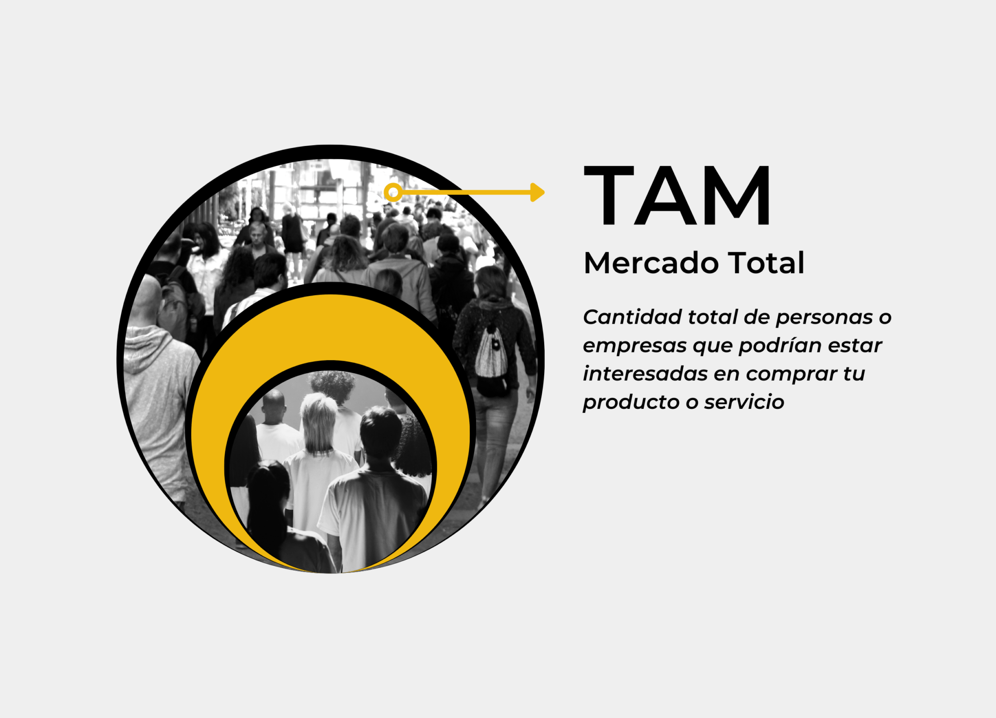 Tam Sam Som Define El Tama O De Mercado De Tu Proyecto