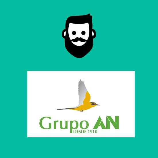 Auditoría Web Básica WPO ?  de Grupo AN Página web En WordPress
