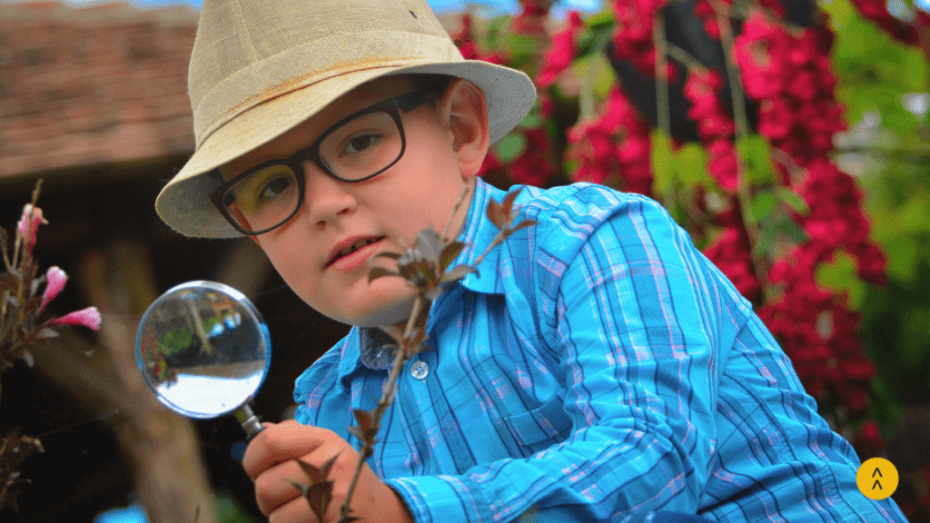 que es la descubrilidad